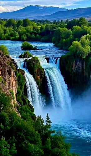 FB IMG 1743031613568.jpg