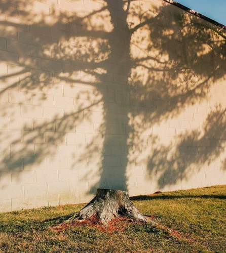 IMG 20250330 021636 939.jpg