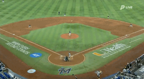 GIF 3 29 2025 5 25 44 PM.gif