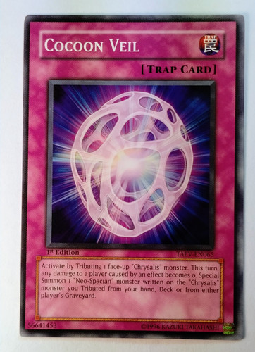 IMG 20250312 100153045.jpg