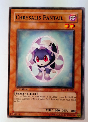 IMG 20250312 100140865.jpg