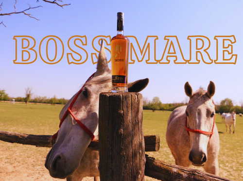 BOSS MARE HERO (1).png