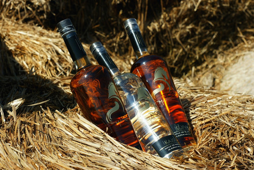 5c2360da 7ba9 4b74 b361 b3e62eaea081.jpg