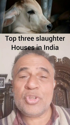 w5x25pgESzW9W3ND.jpg