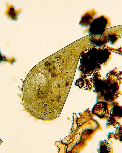 G5vHaD5hi Xd7BK .jpg