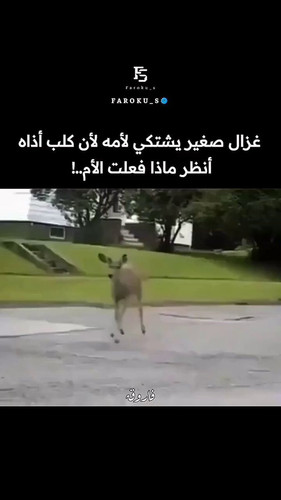 6itVek5NLqjgOgkm.jpg