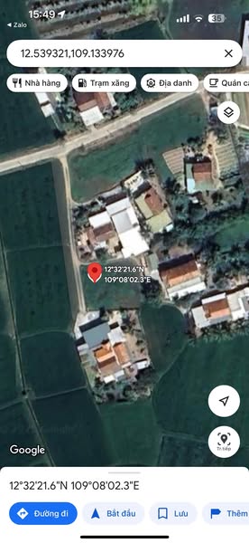 484368410 2517686661895736 2921830661271301934 n.jpg