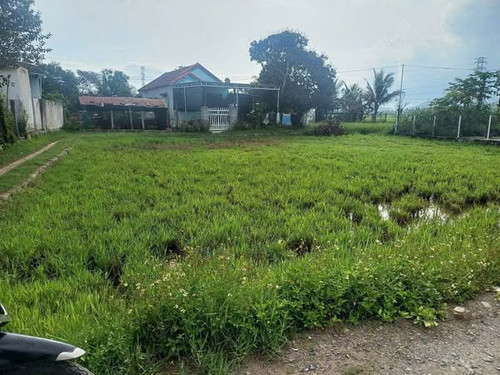 483526792 2517686611895741 3542303900307239992 n.jpg