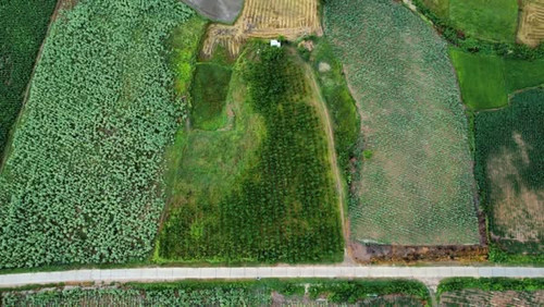 484519560 3103491009816746 6140433916762147156 n.jpg