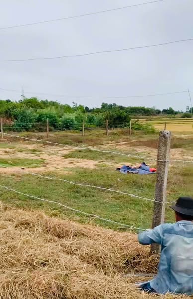 484112803 122144077316556963 1199837640292359597 n.jpg