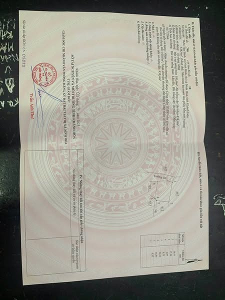 484081672 122144077292556963 2837256027043645082 n.jpg