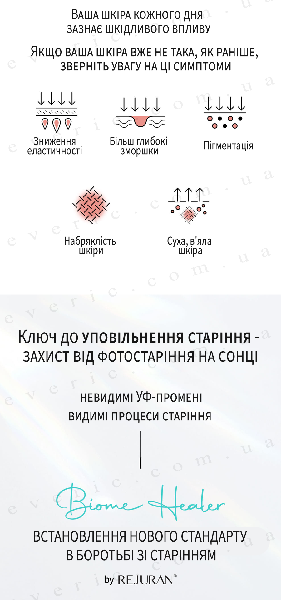 4 копия