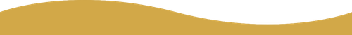 wave (1).png
