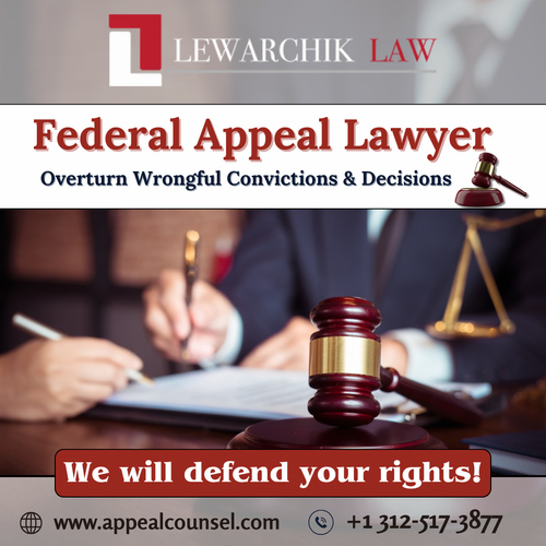Federal Appeal Lawyer.png