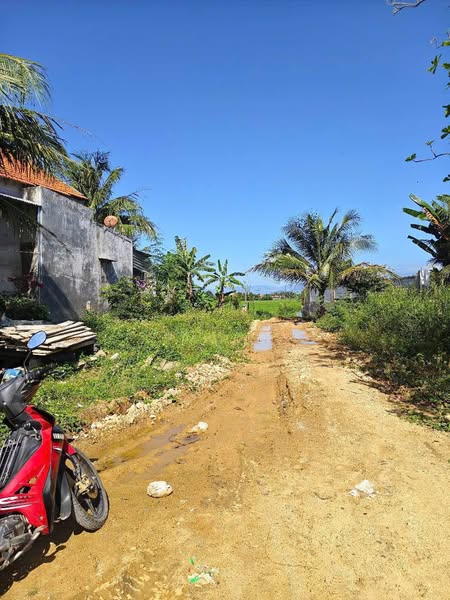 483567744 122144050502556963 1290481904890071535 n.jpg