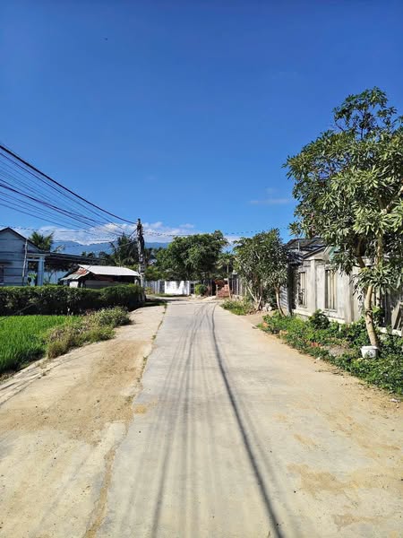 483540091 122144050532556963 8610383787615922133 n.jpg