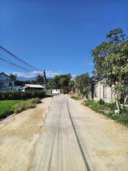 483915695 122144050550556963 6666371329828967738 n.jpg