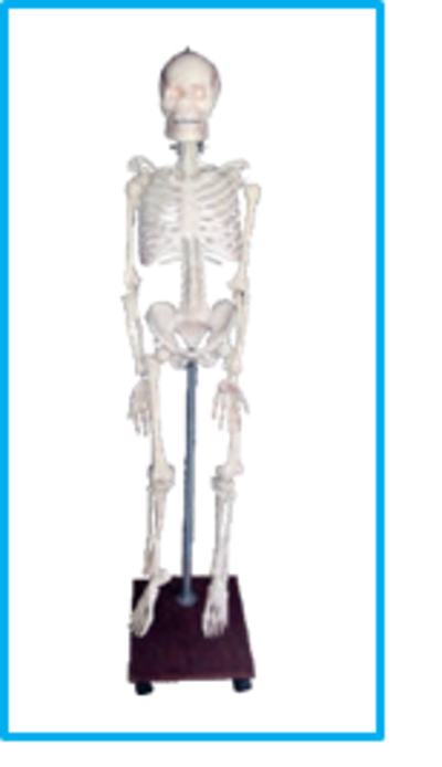 DWUAPE382SK.png