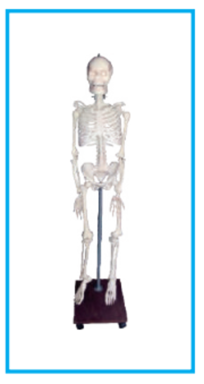 DWUAPE360SK.png