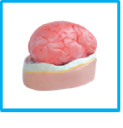 DWUAPE406SK.png