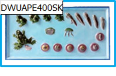 DWUAPE400SK.png