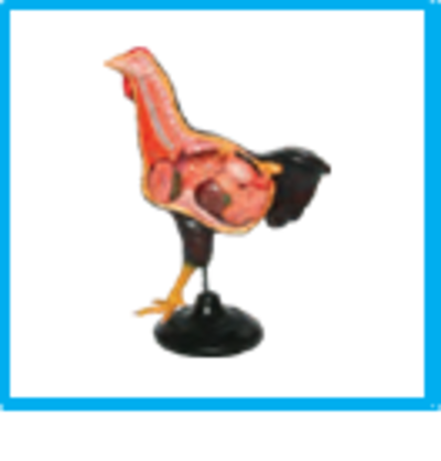 DWUAPE423SK.png