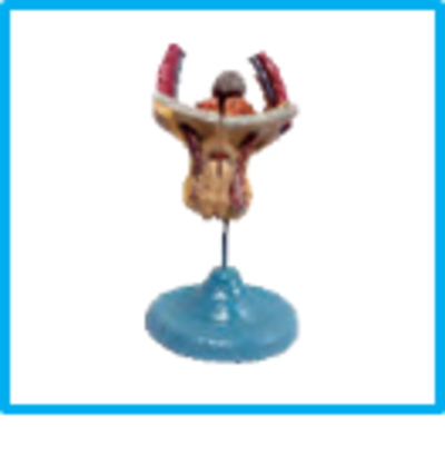 DWUAPE415SK.png