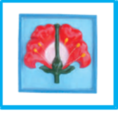 DWUAPE419SK.png