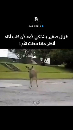 m64mqNKLnGtBE6Qd.jpg