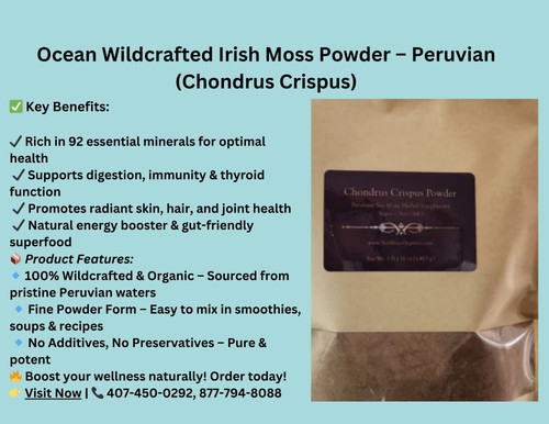 Ocean Wildcrafted Irish Moss Powder – Peruvian (Chondrus Crispus).jpg