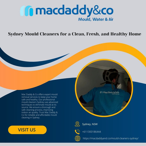 mould cleaners sydney (4).jpg