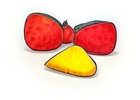 IMG 20250313 075815.jpg