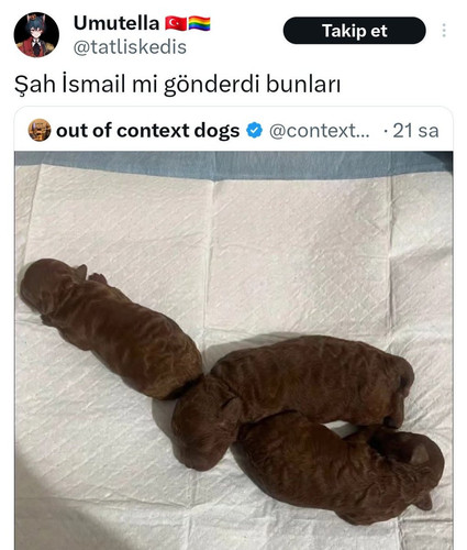 Gl1kfcPW0AEtOvG.jpg