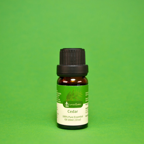 zedern ebay angebot.jpg