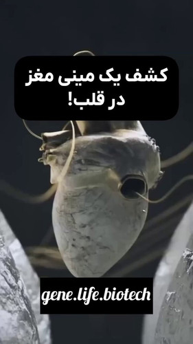 il69RQsAJa1wfvrZ.jpg