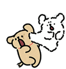 mmexport1741878265520.gif