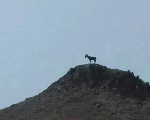 Gl3hqczWIAA1alq.jpg