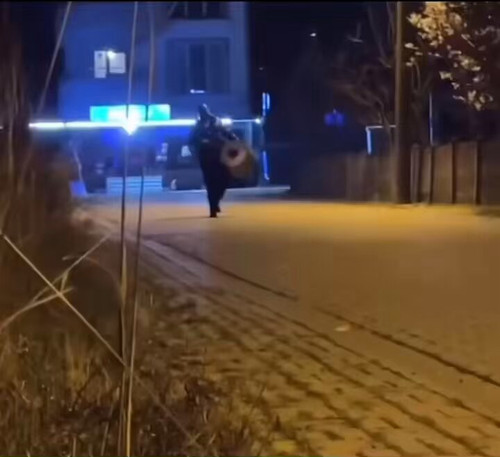 QwIunckU WldYmKF.jpg