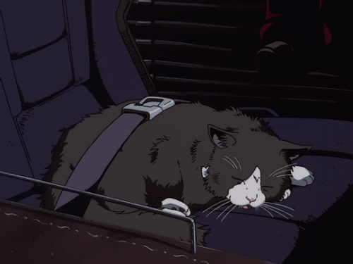 c0ef1d0a77a5f91aee01e700a912cfaf.gif