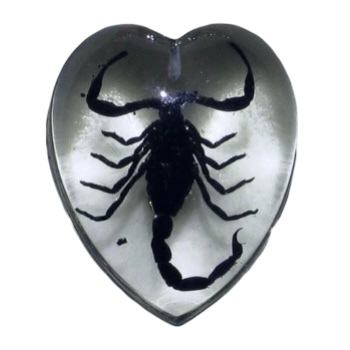 IMG 0159.png