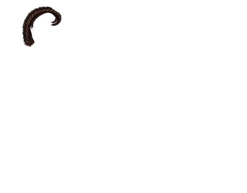 IMG 3518.png