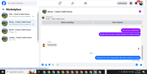 stevy.png
