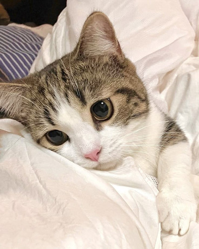 GlxUfqTWwAA6h Y?format=jpg.jpg