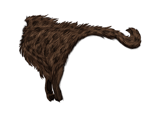 IMG 3523.png