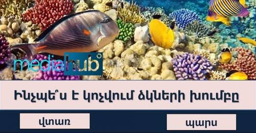 8877338965250545681?url=https%3A%2F%2Fmediahub.am%2Fuploads%2Fimages%2F2023%2F03%2Fimage 750x 6404e0.jpg