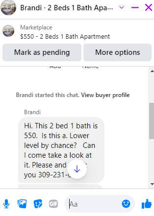Brandi.png