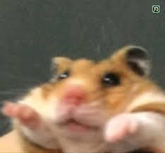 1000010158.jpg