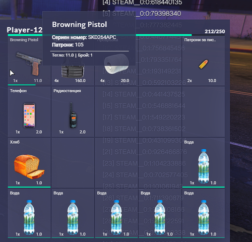 FiveM b2802 GTAProcess RweyQlEmvS.png
