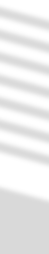 Shadow.png