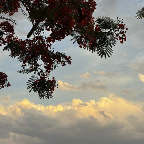 Gl0Iip5bkAAOx N?format=jpg.jpg